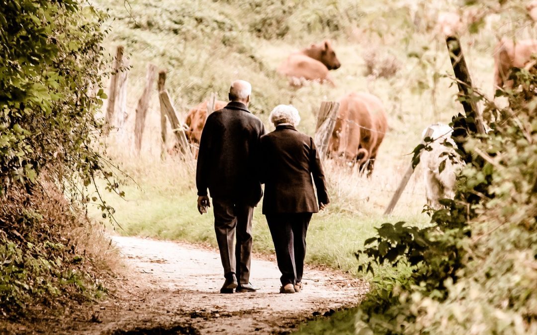 Plan Epargne Retraite – Excellent produit d’optimisation fiscale